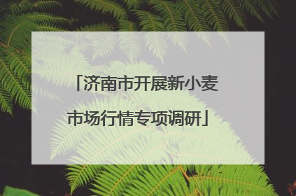 济南市开展新小麦市场行情专项调研