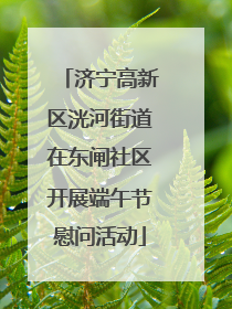 济宁高新区洸河街道在东闸社区开展端午节慰问活动