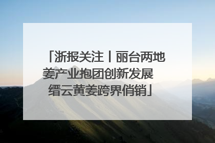 浙报关注丨丽台两地姜产业抱团创新发展 缙云黄姜跨界俏销