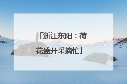 浙江东阳：荷花盛开采摘忙