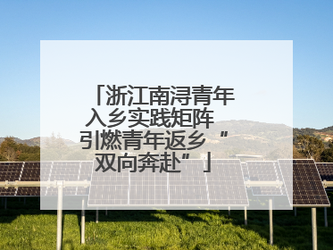 浙江南浔青年入乡实践矩阵 引燃青年返乡“双向奔赴”