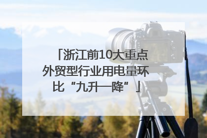 浙江前10大重点外贸型行业用电量环比“九升一降”