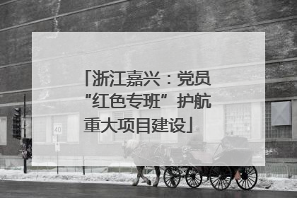 浙江嘉兴：党员“红色专班”护航重大项目建设