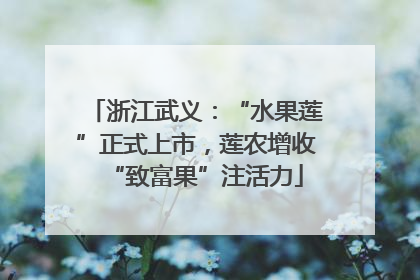 浙江武义：“水果莲”正式上市，莲农增收“致富果”注活力