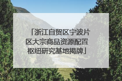 浙江自贸区宁波片区大宗商品资源配置枢纽研究基地揭牌