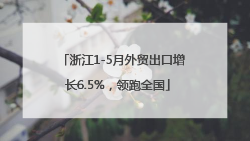 浙江1-5月外贸出口增长6.5%，领跑全国
