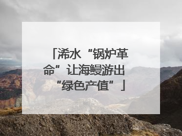 浠水“锅炉革命”让海鳗游出“绿色产值”