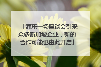 浦东一场座谈会引来众多新加坡企业，新的合作可能也由此开启