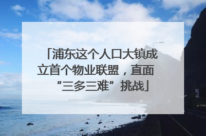 浦东这个人口大镇成立首个物业联盟，直面“三多三难”挑战