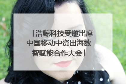 浩鲸科技受邀出席中国移动中资出海数智赋能合作大会