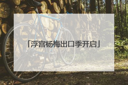 浮宫杨梅出口季开启
