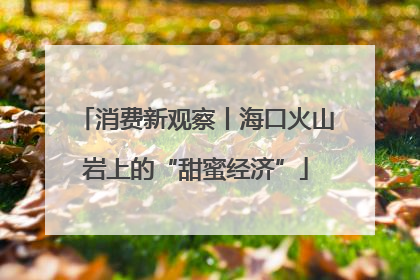 消费新观察丨海口火山岩上的“甜蜜经济”