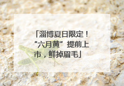 淄博夏日限定！“六月黄”提前上市，鲜掉眉毛
