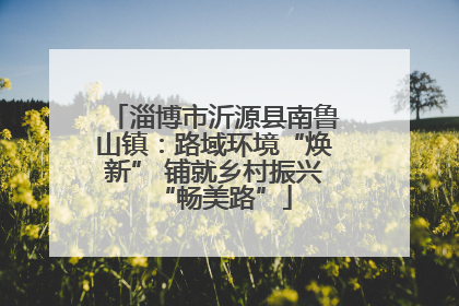 淄博市沂源县南鲁山镇：路域环境“焕新” 铺就乡村振兴“畅美路”