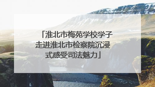 淮北市梅苑学校学子走进淮北市检察院沉浸式感受司法魅力