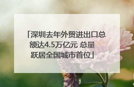 深圳去年外贸进出口总额达4.5万亿元 总量跃居全国城市首位
