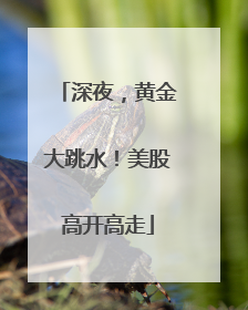 深夜，黄金大跳水！美股高开高走