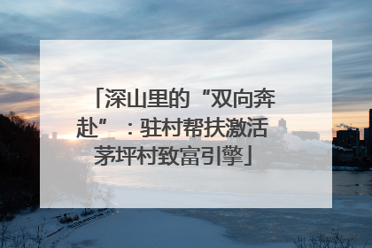 深山里的“双向奔赴”：驻村帮扶激活茅坪村致富引擎