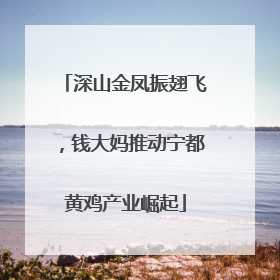 深山金凤振翅飞，钱大妈推动宁都黄鸡产业崛起