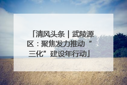 清风头条｜武陵源区：聚焦发力推动“三化”建设年行动