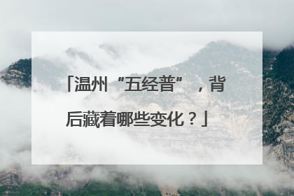 温州“五经普”，背后藏着哪些变化？
