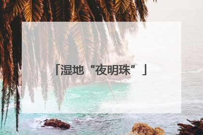 湿地“夜明珠”
