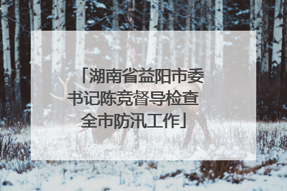 湖南省益阳市委书记陈竞督导检查全市防汛工作