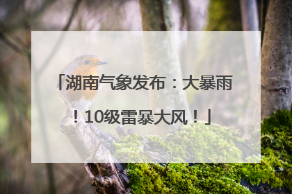 湖南气象发布：大暴雨！10级雷暴大风！