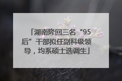 湖南隆回三名“95后”干部拟任副科级领导，均系硕士选调生