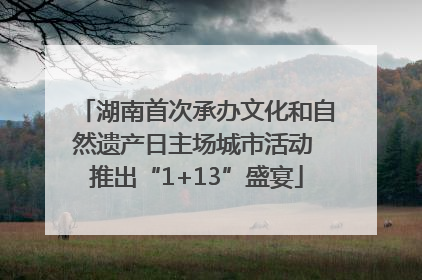 湖南首次承办文化和自然遗产日主场城市活动 推出“1+13”盛宴