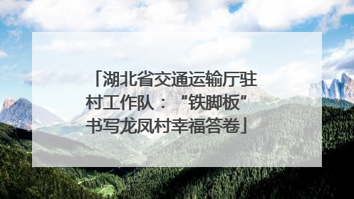 湖北省交通运输厅驻村工作队：“铁脚板”书写龙凤村幸福答卷
