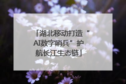湖北移动打造“AI数字哨兵”护航长江生态链