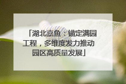 湖北嘉鱼：锚定满园工程，多维度发力推动园区高质量发展