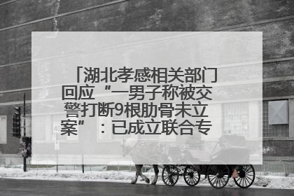 湖北孝感相关部门回应“一男子称被交警打断9根肋骨未立案”：已成立联合专班开展工作