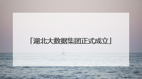 湖北大数据集团正式成立