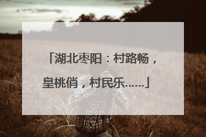 湖北枣阳：村路畅，皇桃俏，村民乐……