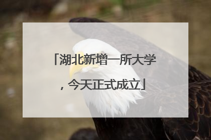湖北新增一所大学，今天正式成立
