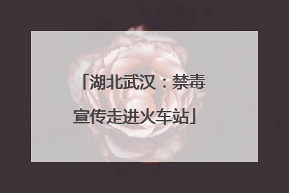 湖北武汉：禁毒宣传走进火车站