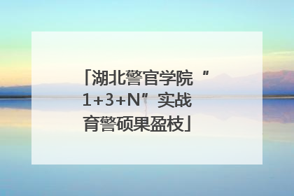 湖北警官学院“1+3+N”实战育警硕果盈枝