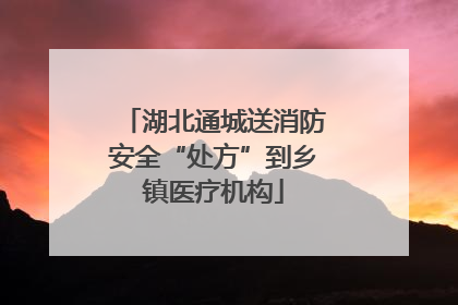 湖北通城送消防安全“处方”到乡镇医疗机构