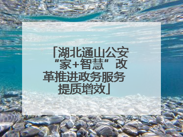 湖北通山公安“家+智慧”改革推进政务服务提质增效