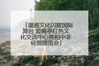 湖湘文化闪耀国际舞台 爱晚亭红色文化交流中心亮相中非经贸博览会