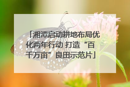 湘潭启动耕地布局优化两年行动 打造“百千万亩”良田示范片