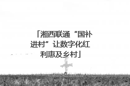 湘西联通“国补进村”让数字化红利惠及乡村