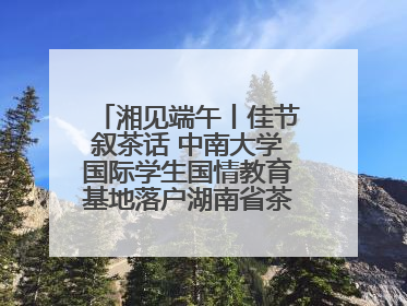 湘见端午丨佳节叙茶话 中南大学国际学生国情教育基地落户湖南省茶叶博物馆