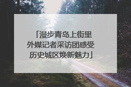 漫步青岛上街里 外媒记者采访团感受历史城区焕新魅力