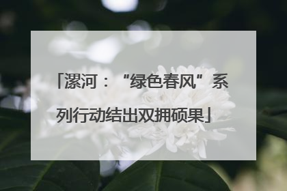 漯河：“绿色春风”系列行动结出双拥硕果