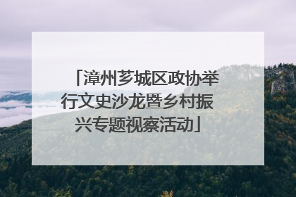 漳州芗城区政协举行文史沙龙暨乡村振兴专题视察活动