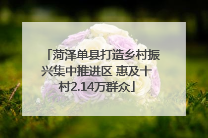 菏泽单县打造乡村振兴集中推进区 惠及十村2.14万群众