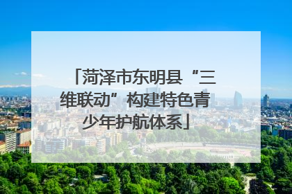 菏泽市东明县“三维联动”构建特色青少年护航体系
